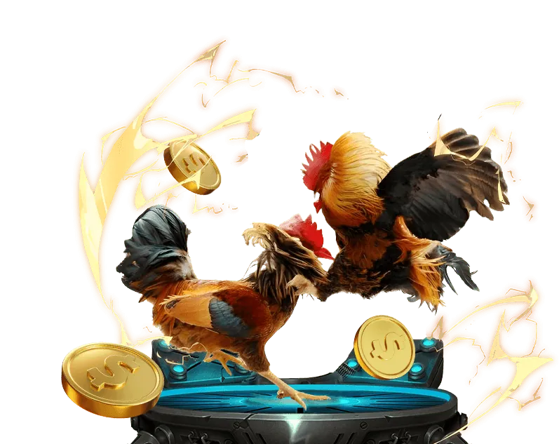 Điền thông tin cá nhân vào biểu mẫu đăng ký